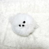 韩系白色茶杯犬博美狗狗图片 白色哈多利球形博美犬出售
