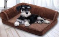 睡得好更健康！如何帮狗狗挑选一张好床